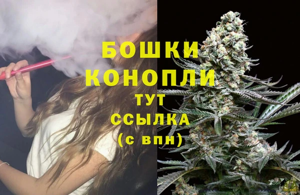 стаф Елизово