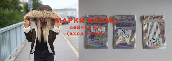 стаф Елизово