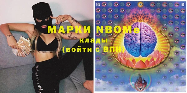 стаф Елизово