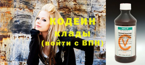 стаф Елизово