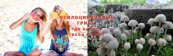 героин Ельня