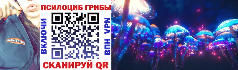 как найти закладки  Качканар  Галлюциногенные грибы Psilocybe 
